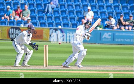 Hove UK 29 agosto 2024 - Tom Haines batte per il Sussex durante il primo giorno della partita di cricket Vitality County Championship League Two tra Sussex e Derbyshire al 1st Central County Ground di Hove: Credit Simon Dack /TPI/ Alamy Live News Foto Stock