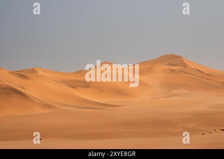 Dune nel Namib, dune nel deserto del Namib Foto Stock