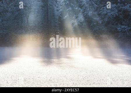 Tramonto con i raggi del sole che splendono su un lago ghiacciato attraverso la nebbia al mattino. Concetto di stagione Foto Stock