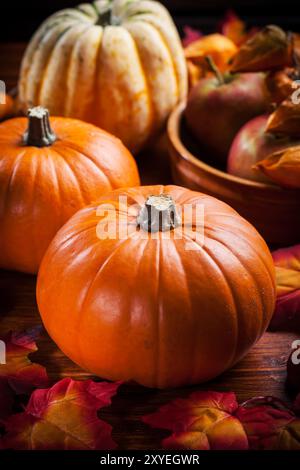 Zucche tradizionali per il giorno del Ringraziamento e Halloween in colori caldi Foto Stock