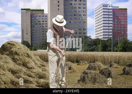 Contadino che gira fieno in una zona residenziale vicino alla città Foto Stock