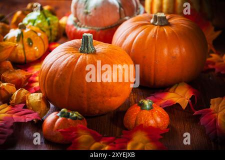 Zucche tradizionali per il Ringraziamento e Halloween nei colori autunnali Foto Stock