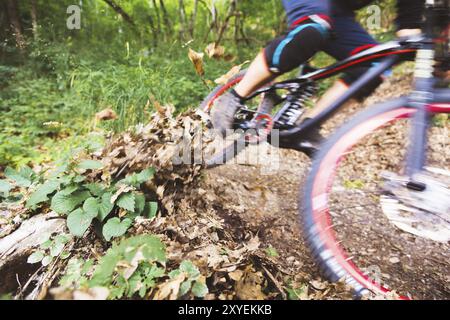 Un giovane ciclista in bicicletta per la discesa scende tra le rocce della foresta. Passaggio ad alta velocità della controrotazione con deriva sul terreno e flyi Foto Stock