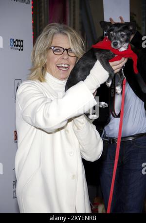 Diane Keaton alla prima di Los Angeles di Darling Companion tenutasi all'Egyptian Theater di Hollywood il 17 aprile 2012 Foto Stock