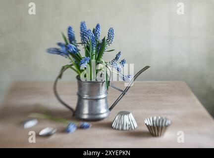 Natura morta decorativa con giacinti d'uva in piccole lattine da irrigazione Foto Stock