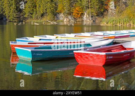 Lacu Rosu (il Lago Rosso) nella contea di Harghita, Romania, Europa Foto Stock