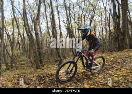 Un giovane pilota che guida una mountain bike pedala in discesa nella foresta autunnale. Il concetto di coinvolgere i bambini negli sport estremi Foto Stock