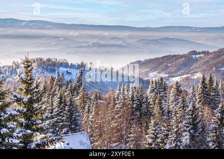 Kopaonik, Serbia tramonto aereo inverno montagna panorama con pini innevati Foto Stock