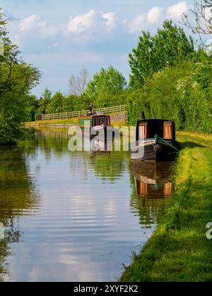 Barche strette ormeggiate sul canale di Coventry vicino a Kings Orchard Marina Lichfield nello Staffordshire Inghilterra Regno Unito in estate con cielo blu e nuvole sopra. Foto Stock