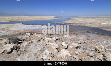 Laguna Chaxa nel deserto di Atacama Foto Stock