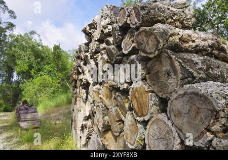 Holzstapel Korkeiche, Holzstapel aus Korkeiche 06 Foto Stock