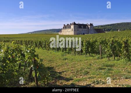 Chateau du Clos de Vougeot, Burgund, Chateau du Clos de Vougeot, Cote d'Or, Borgogna in Francia Foto Stock