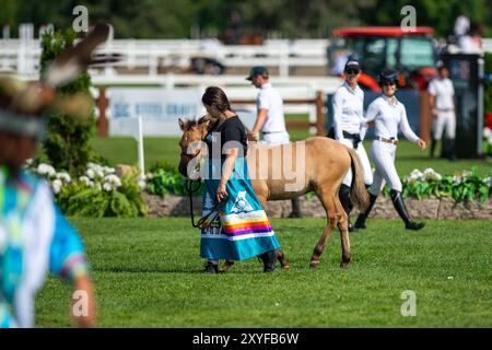 Wesley Clover Horse Show Foto Stock