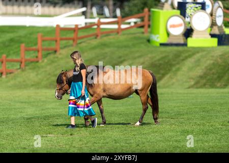 Wesley Clover Horse Show Foto Stock