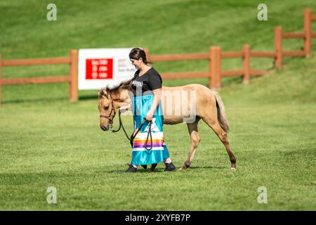 Wesley Clover Horse Show Foto Stock