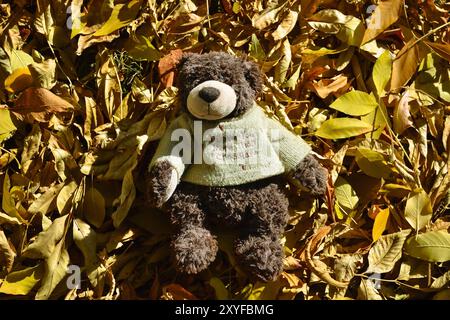 Un orsacchiotto in un maglione giace sul prato tra le foglie cadute in autunno Foto Stock