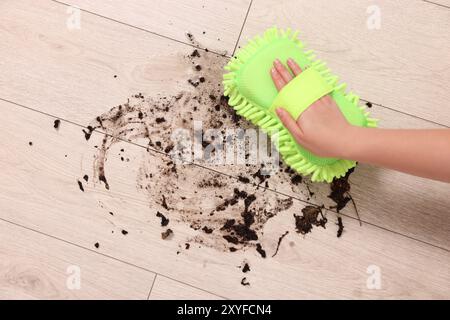 Donna che pulisce lo sporco su pavimento di legno, primo piano Foto Stock