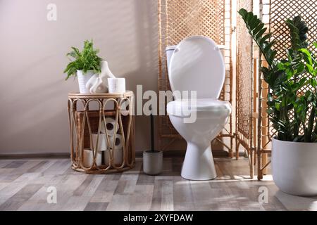 WC bianco, rotoli di carta e piante da casa in bagno Foto Stock