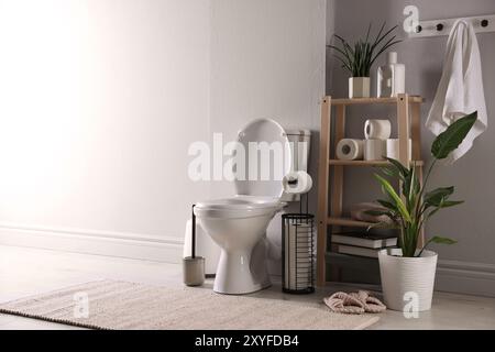 Ciotola bianca, rotoli di carta e piante da casa in bagno, spazio per testo Foto Stock