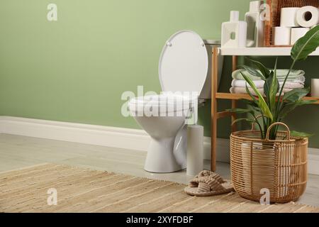 Ciotola bianca, rotoli di carta, pantofole e piante d'appartamento in bagno, spazio per testo Foto Stock
