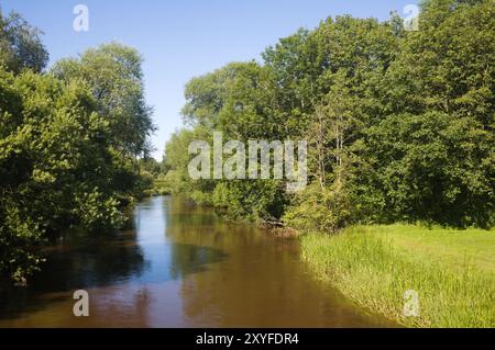 fiume A, fiume Skjern, a Sonder Felding in una calda mattinata d'estate Foto Stock