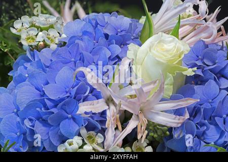 Bouquet colorato con ortensie blu Foto Stock