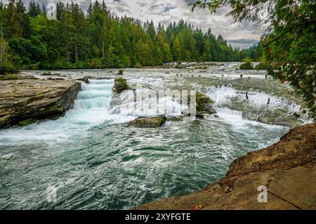 Nymph Falls e la scala dei pesci sul fiume Puntledge, Isola di Vancouver Foto Stock