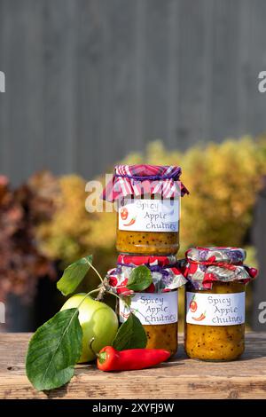 Regno Unito. Chutney di mele speziate fatte in casa conservate in vasetti di vetro, etichettate e rifinite con un topper in tessuto. prodotto con mele da cucina stagionali coltivate in casa Foto Stock