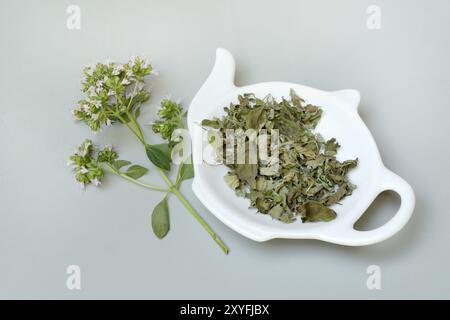 Origano essiccato in baccello e un rametto di origano fiorito, Origanum vulgare Foto Stock