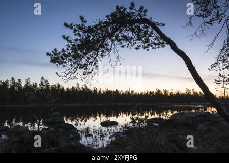 Alba in un lago forestale, Norrbotten, Lapponia, Svezia, settembre 2014, Europa Foto Stock