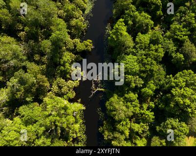 Fotografia aerea del fiume Wekiva, a nord di Orlando, Florida, Stati Uniti. 20 aprile 2022. Foto Stock