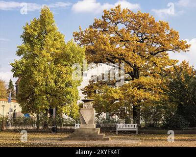 Il roseto di Rostock in autunno Foto Stock