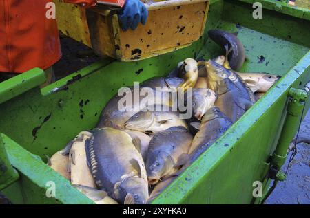 Pesca all'aperto, pesca all'asciutto 11 Foto Stock