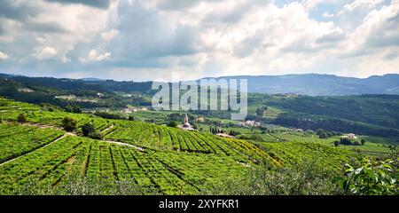 Ampio campo verde situato nel cuore della Valpolicella con un vigneto dedicato alla produzione di vini . Il paesaggio presenta una vasta area esterna Foto Stock