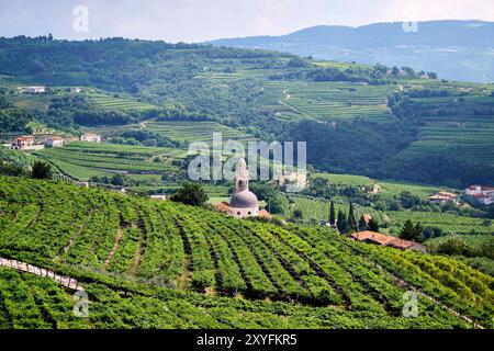 Ampio campo verde situato nel cuore della Valpolicella con un vigneto dedicato alla produzione di vini . Il paesaggio presenta una vasta area esterna Foto Stock