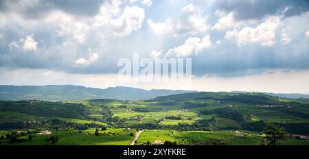 Ampio campo verde situato nel cuore della Valpolicella con un vigneto dedicato alla produzione di vini . Il paesaggio presenta una vasta area esterna Foto Stock