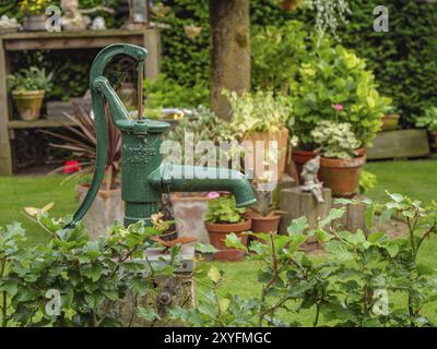 Vecchia pompa dell'acqua verde in un giardino ben tenuto con varie piante e vasi su un ripiano di legno, borken, muensterland, germania Foto Stock