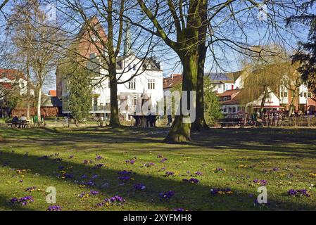 Europa, Germania, bassa Sassonia, Buxtehude, regione metropolitana di Amburgo, parco cittadino in primavera, casa degli uccelli nello stagno, prato dei fiori, Amburgo, Amburgo, F. Foto Stock