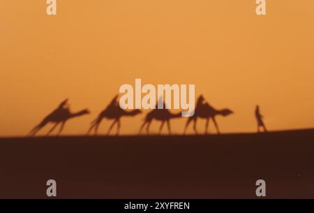 Ombra di una carovana nel deserto Foto Stock