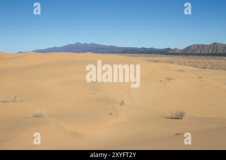 Vista del vulcano El Pinacate dal desrt di Sonnora. Foto Stock