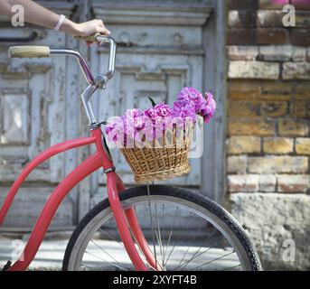 Vintage bicicletta con cestello con peonia fiori vicino alla vecchia porta di legno Foto Stock