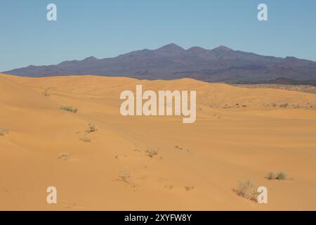 Vista del vulcano El Pinacate dal desrt di Sonnora. Foto Stock