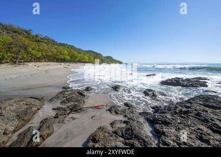 Spiaggia di sabbia tropicale con palme, Playa Montezuma, Montezuma, penisola di Nicoya, provincia di Puntarenas, costa Rica, America centrale Foto Stock