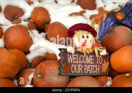 Pumpkins Galore a Frisco Colorado Foto Stock