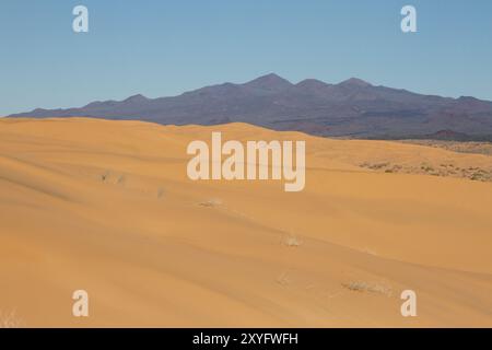 Vista del vulcano El Pinacate dal desrt di Sonnora. Foto Stock