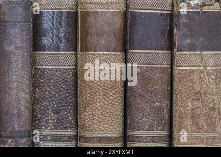 Libreria antiquaria sul ripiano Foto Stock