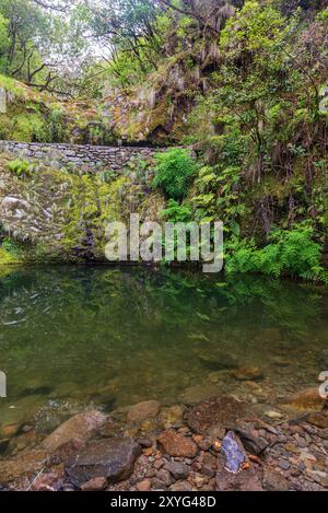 Piccolo lago sulla Levada do Furado sentiero escursionistico tra Ribeiro Frio e Portela a Madeira Foto Stock