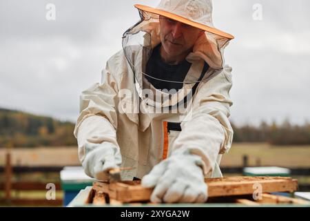 Colpo ritagliato di apicoltore maschio di mezza età in tuta protettiva contro il cielo grigio autunnale che lavora con la cornice dell'alveare durante la raccolta del miele presso la fattoria degli apiari, copia spazio Foto Stock