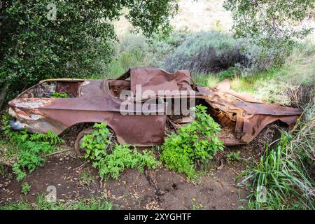 Rovina arrugginita abbandonata dell'automobile degli anni '1960 con una crescita eccessiva. Girato al Santa Susana Pass State Historic Park vicino a Los Angeles, California. Foto Stock