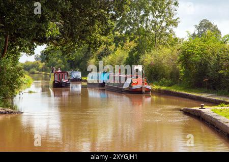 Il motoscafo del canale si avvicina a Bunbury, chiusa a doppia scala, sul canale Shropshire Union, Cheshire Foto Stock